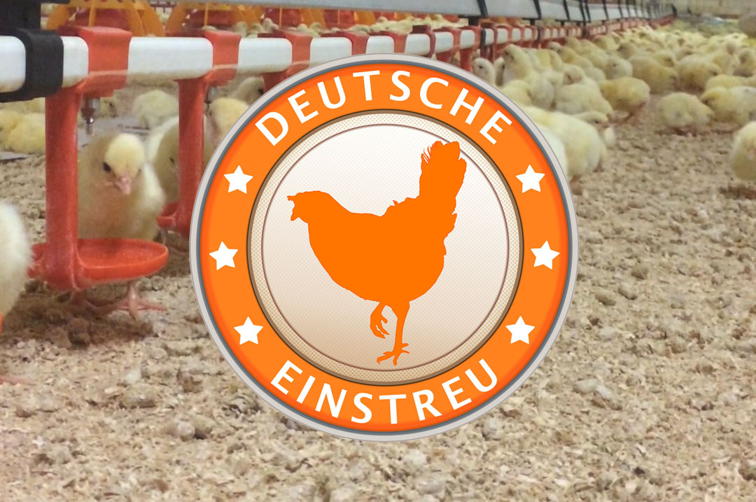 DEUTSCHE EINSTREU